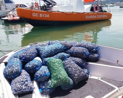 Sequestro vongole a Pescara