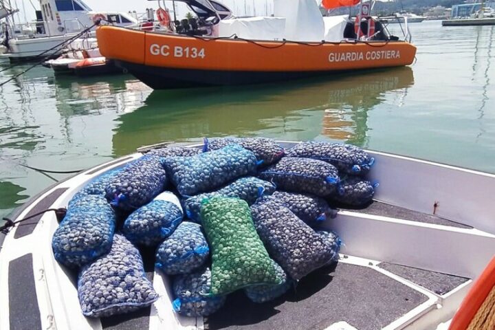 Sequestro vongole a Pescara